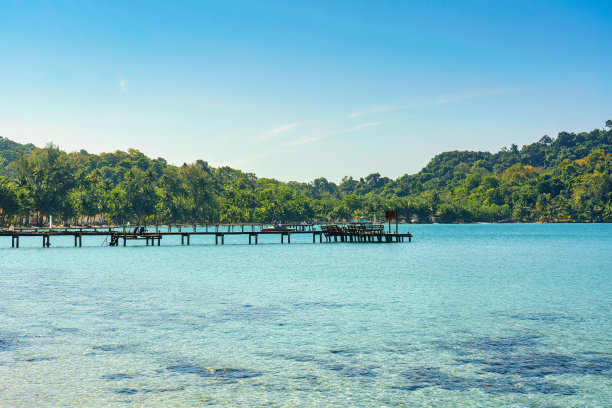 美丽的热带海水绿松石与木制码头和森林在阳光明媚的日子图片下载