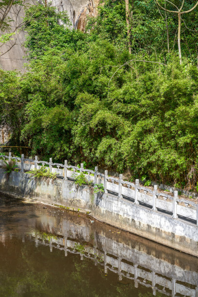 古建筑的中式园林桥角楼在山林之中图片下载