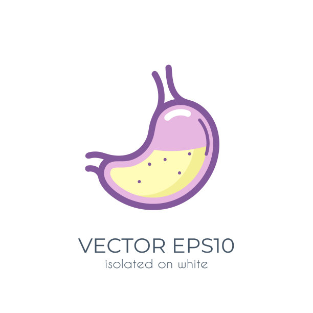 stomach_clipart图片下载