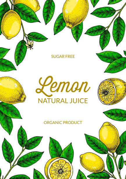 垂直柠檬背景。手绘彩色矢量插图在素描风格。设计包装，邀请，贺卡图片下载