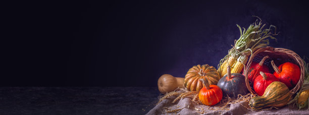 秋天的静物画有不同颜色和大小的南瓜水果和玉米，横幅上有文字的空间。感恩节的概念图片下载