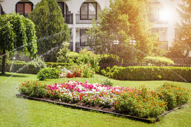 花园设计与花坛图片下载