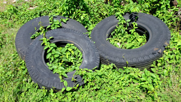 废弃卡车轮胎图片下载