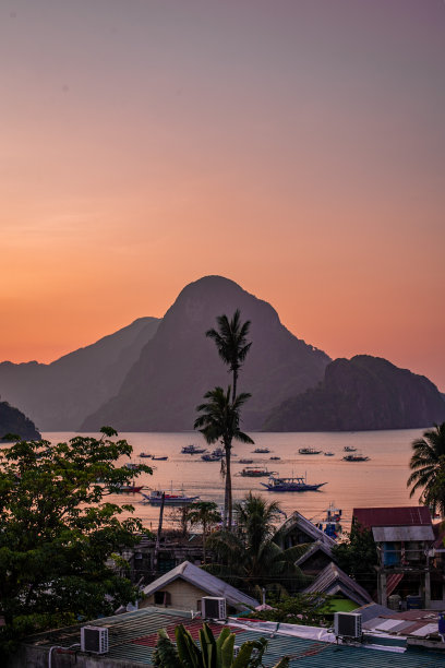 明信片巢图片下载