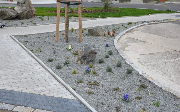 行人和骑自行车者的步行街，车道和道路之间有一个分隔岛，道路标志在沥青上喷涂了油漆。轮子，箭头和三角形。豪华水疗，脱粒，木凳图片下载