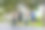 一组男女早上在公园一起慢跑锻炼。图片下载