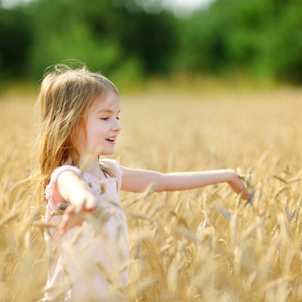 可爱的女孩快乐地走在麦田里图片下载
