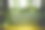 在奈良公园散步的鹿图片下载