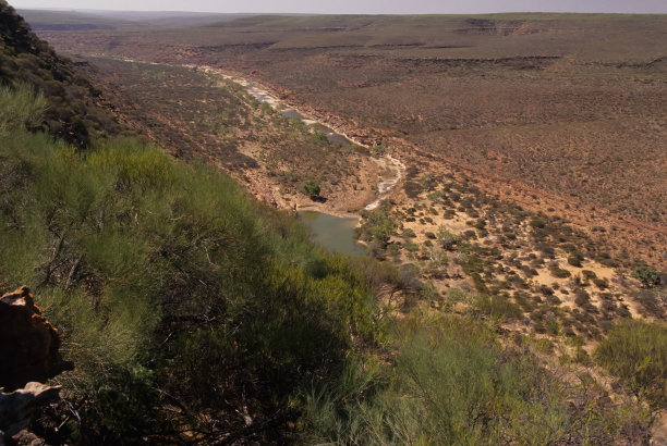 卡尔巴里国家公园图片下载