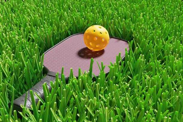 草坪上匹克球的球拍和运动球。三维渲染图片下载