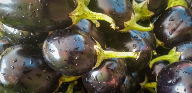 茄子蔬菜图片下载