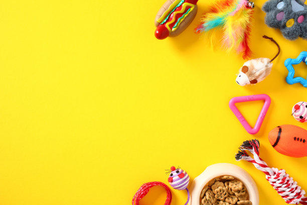 宠物商店的横幅模板，带有猫和狗的配件，黄色背景上有一碗干粮。宠物护理、培训、美容理念。图片下载