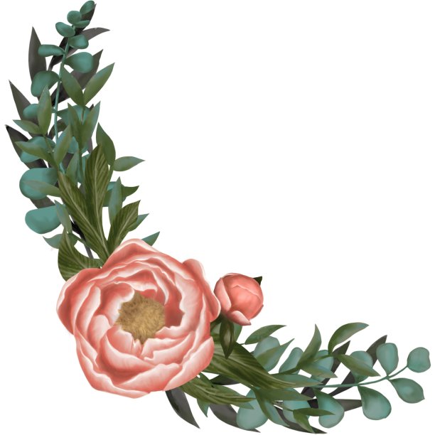 牡丹和草药编成的花环。水彩图片下载