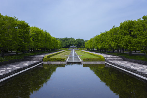 公园的池塘里图片下载