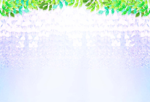 水平背景材料与一个美丽的白色轮廓紫藤花。图片下载