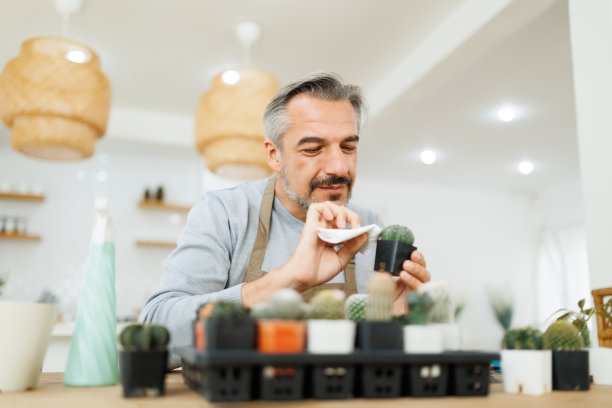 成熟的成年男子关怀和擦仙人掌图片下载