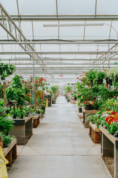 花园中心图片下载