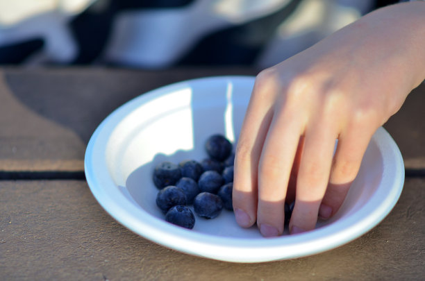 采摘蓝莓的手图片下载