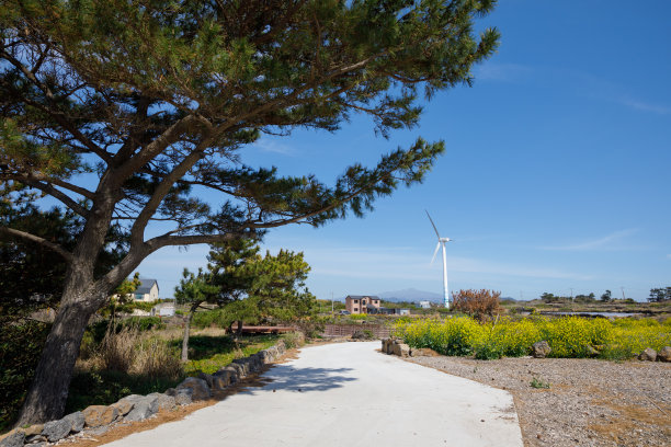 济州岛新昌风车海岸路图片下载
