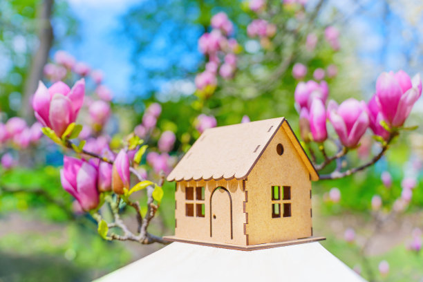 木制玩具屋在鲜艳的粉红色木兰背景下图片下载