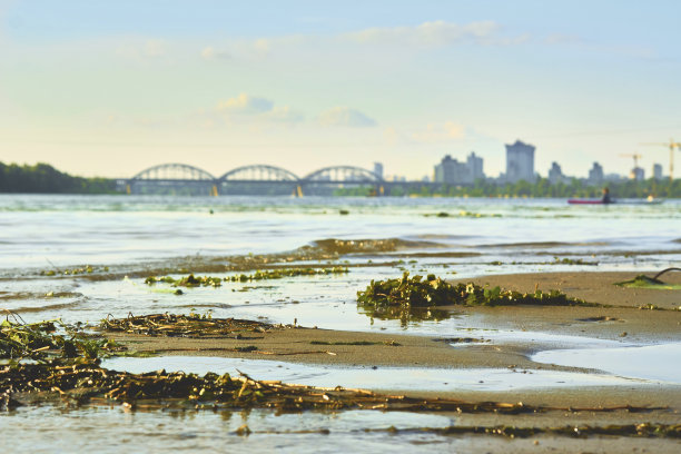 有沙有藻的河岸，远处有桥的城市图片下载