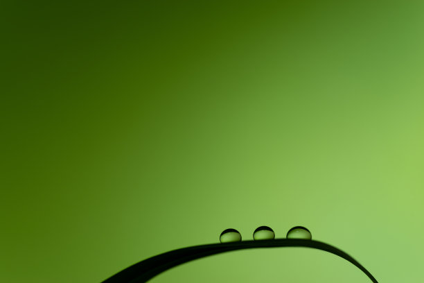 叶子上的水滴图片下载