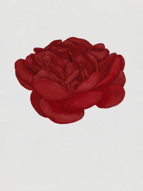 花红色图片下载