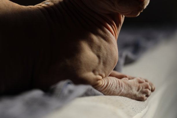 光着身子的猫在床上玩耍图片下载