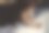 光着身子的猫在床上玩耍图片下载