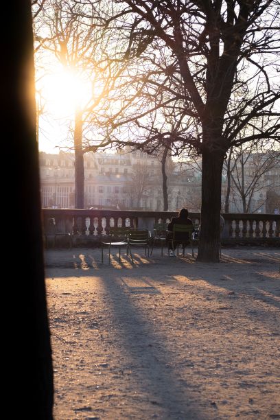 有人坐在法国巴黎的杜伊勒里花园享受冬日的阳光图片下载