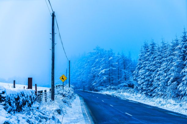 蓝色背景下的跳鹿标志图片下载