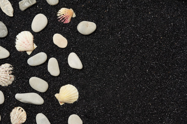 黑色的沙滩上有贝壳和鹅卵石图片下载