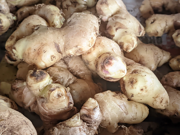 传统市场出售的新鲜本地生姜特写图片下载