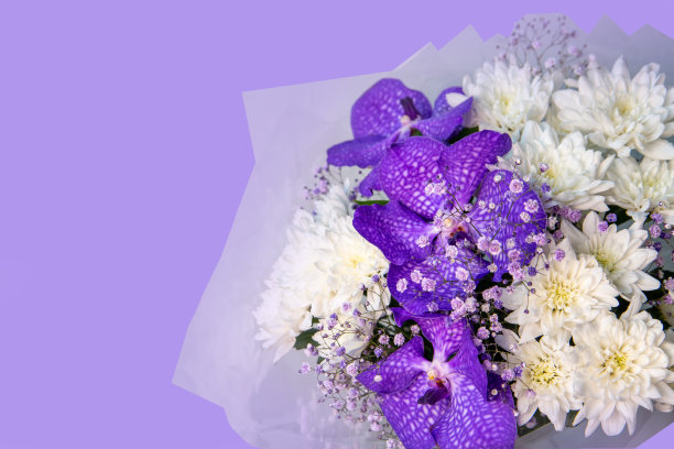 可爱的花束与丁香兰花和白色的菊花，孤立在紫色的背景与复制空间。花卡。图片下载