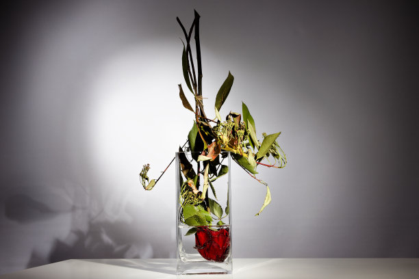 创意倒置的概念-红玫瑰与头在花瓶-不同的观点与真实的阴影图片下载