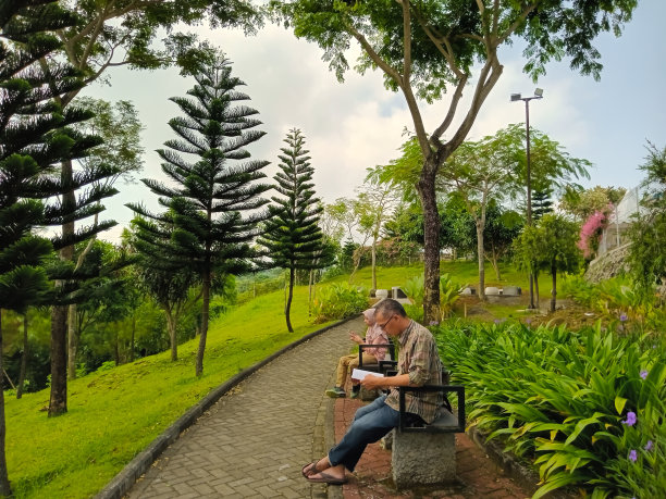 一个男人正在公园里看书。图片下载