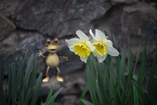 花园里的童话人物。图片下载