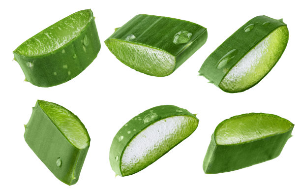 集新鲜芦荟片芦荟凝胶滴隔离在白色背景。图片下载