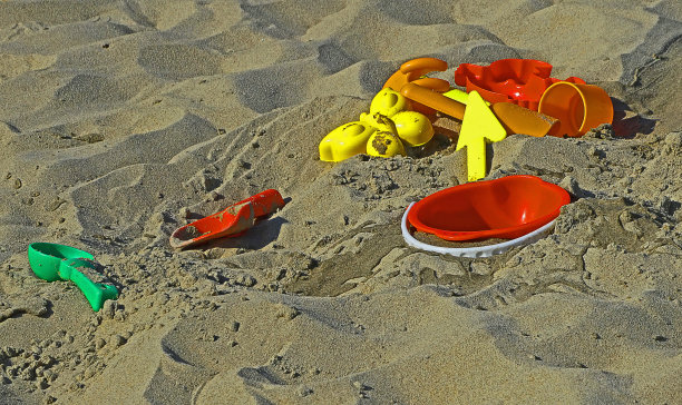 沙子上的霉菌图片下载