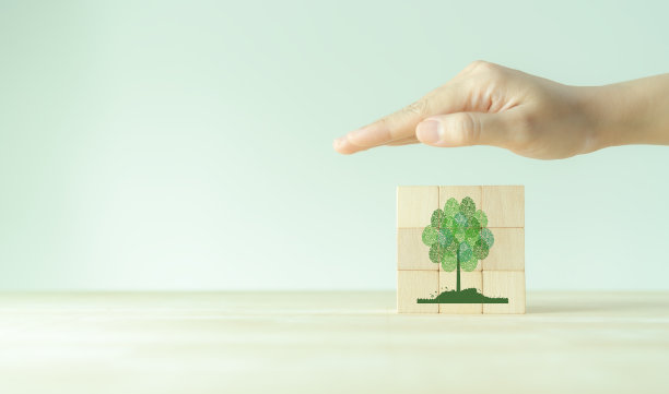 摘要树与不同的指纹树叶隔离在木制立方体块在清晰的背景。世界环境日或地球日的概念。世界林业日。环保理念。图片下载