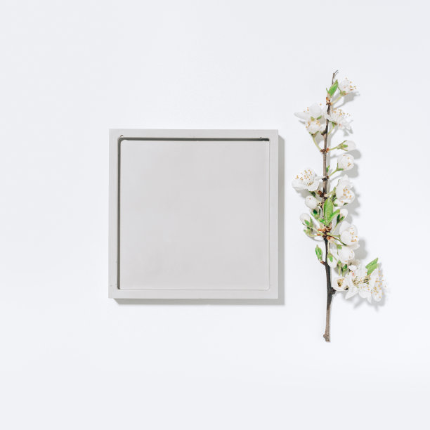 美妆产品展示用方形和春花枝条制作的平铺软景模型。准备好产品展示的布局。广场组成。摄影工作室。图片下载