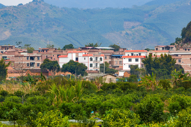 中国的农村建筑和绿色森林图片下载