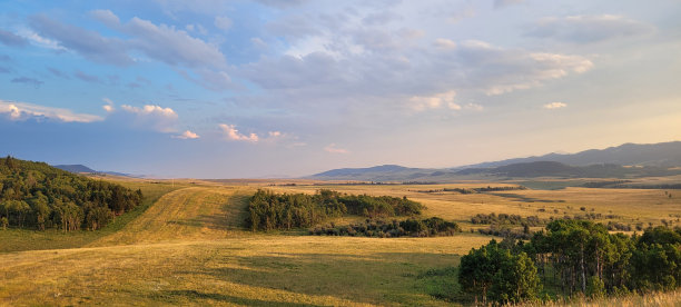 农场的黄金时光(1)图片下载