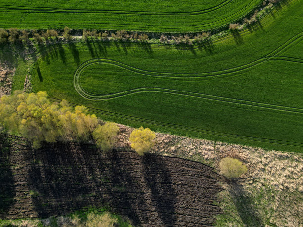 早发芽的树木和盛开的樱桃控制着农业活动和粮食质量。拖拉机上的车辙，以及使用在地面上飞行的无人机计算森林中猎物的状况图片下载