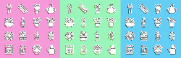 常青藤枝盆栽设行浇水罐图片下载