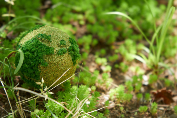 全球环境的图像图片下载