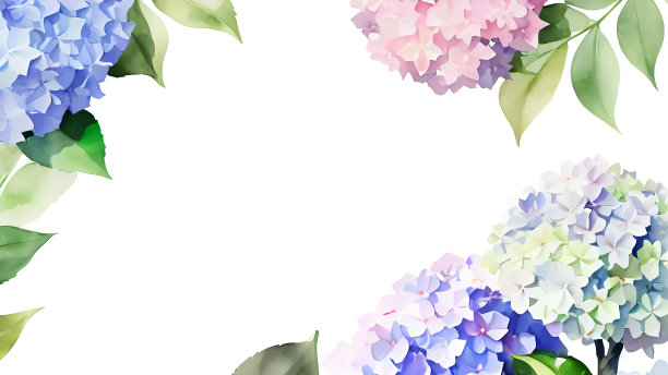 绣球，花，框架，材料，背景，花园，植物，自然，花束，季节，美丽，多彩的，水彩，植物，印刷，艺术，植物艺术，插图，设计，花卉，复古，浪漫，日本风格，日本，观赏，花卉图片下载