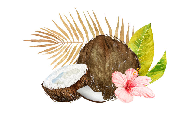 热带水彩画。椰子，热带树叶和花朵的彩色背景。图片下载