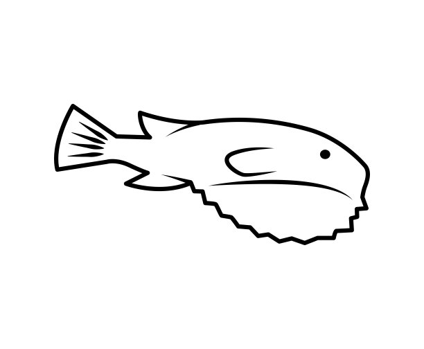 河豚鱼。Takifugu摘要。日本河豚。白色背景上孤立的水墨素描图片下载