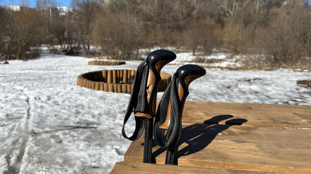 桌上有北欧拐杖图片下载